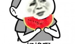 娱乐有态度吃瓜有深度,揭秘娱乐圈背后的故事